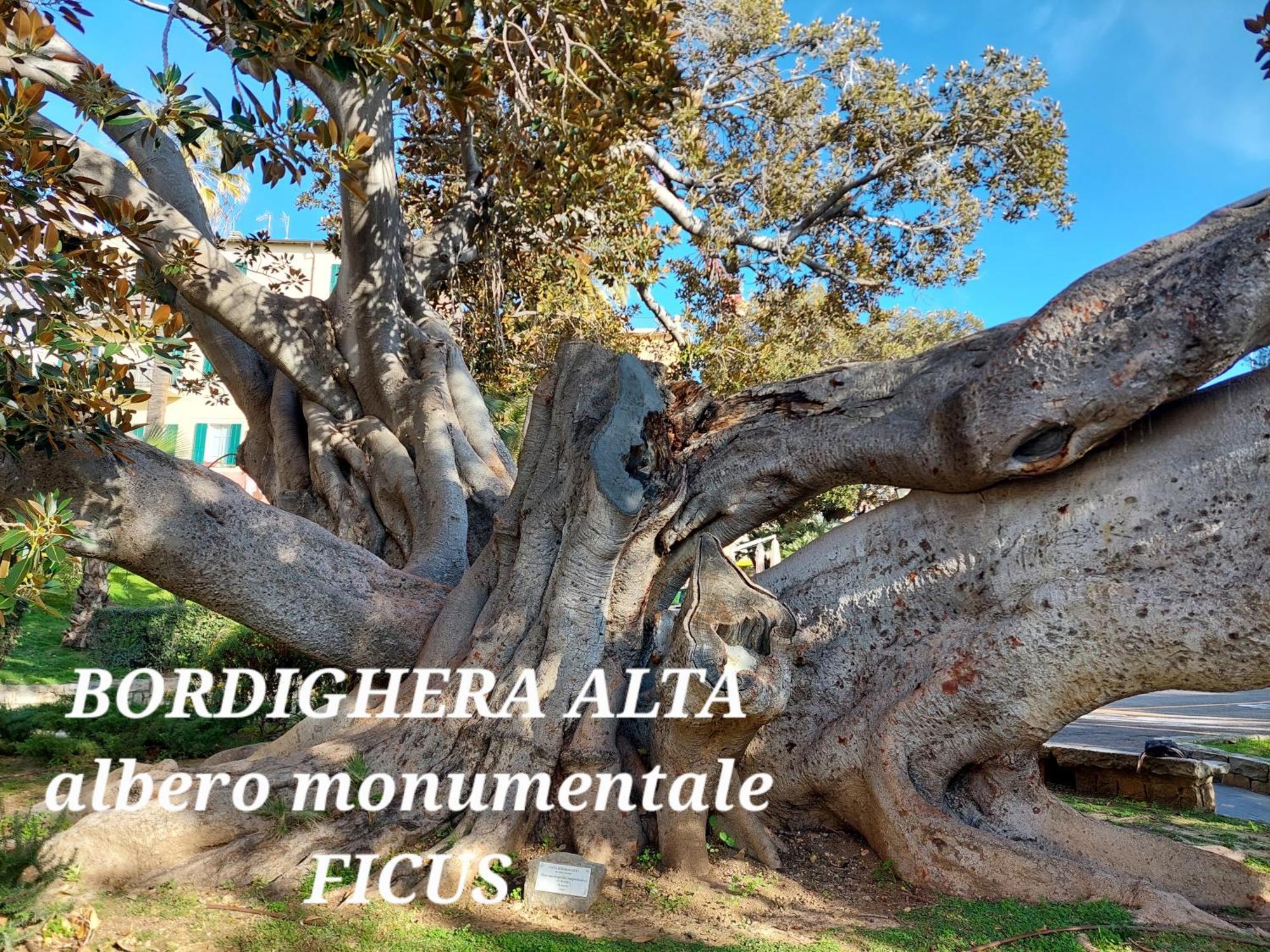 Emozioni Casa Vista Mare Bordighera Eksteriør billede