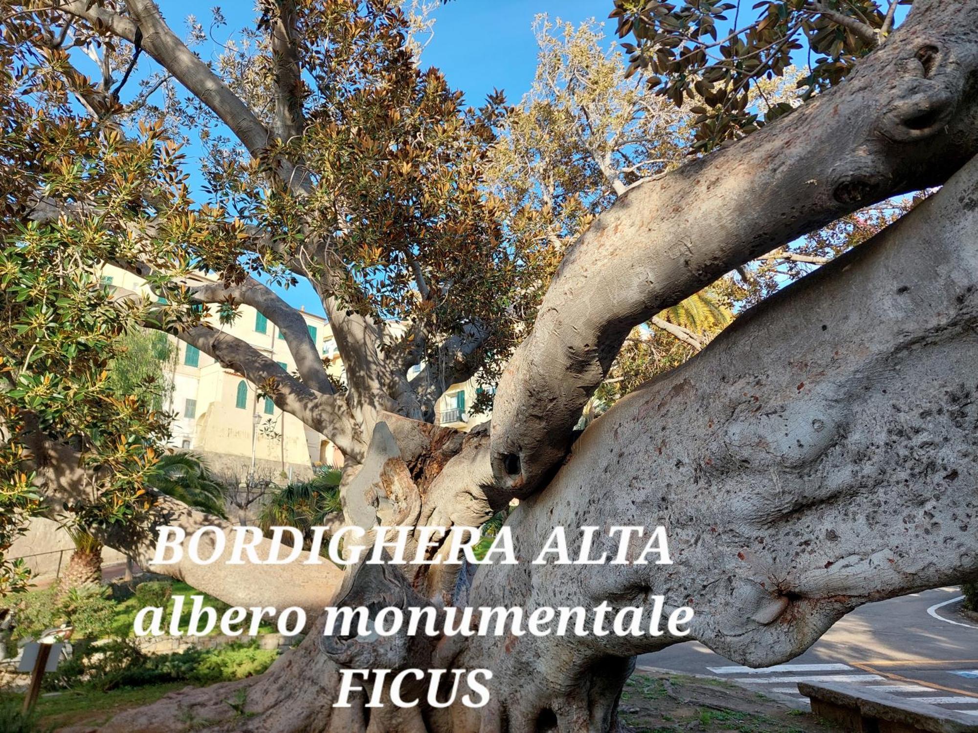 Emozioni Casa Vista Mare Bordighera Eksteriør billede