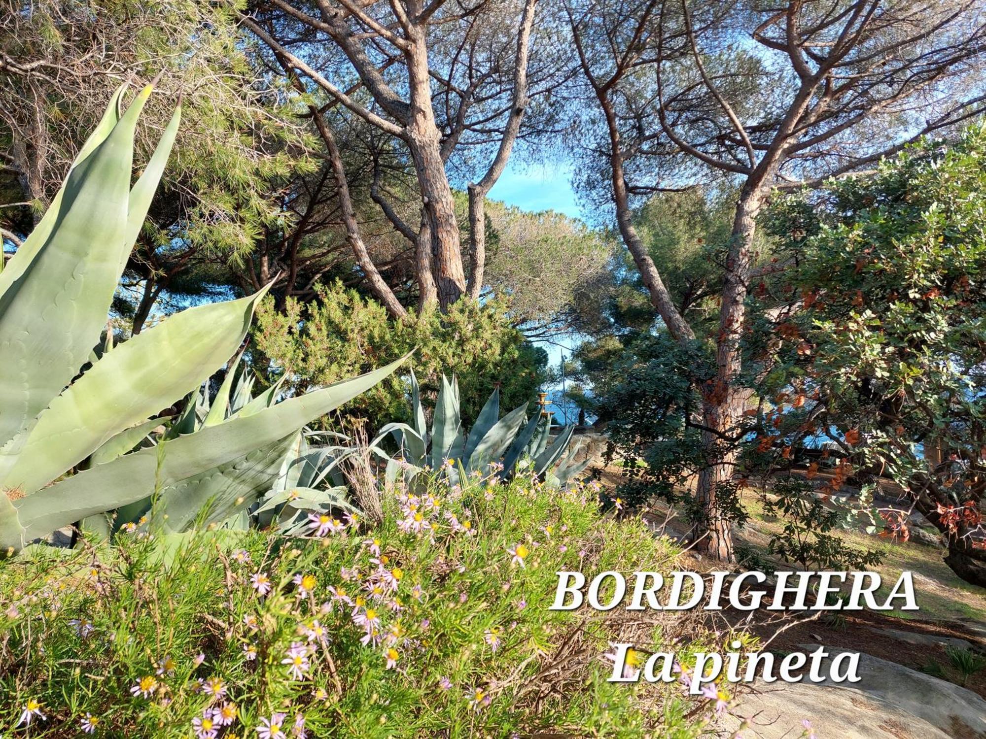 Emozioni Casa Vista Mare Bordighera Eksteriør billede